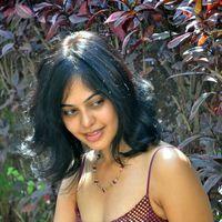 Bindu Madhavi Hot in Pink Gown Dress - Pictures | Picture 120976